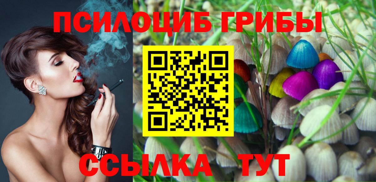 Протвино  Псилоцибиновые грибы Psilocybine cubensis  Вход с VPN 